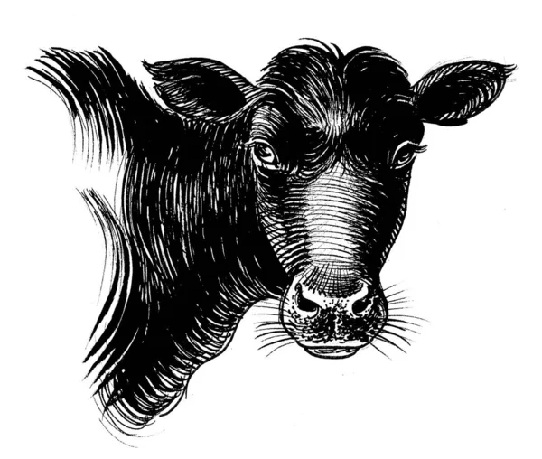 Cabeça Vaca Tinta Desenho Preto Branco — Fotografia de Stock