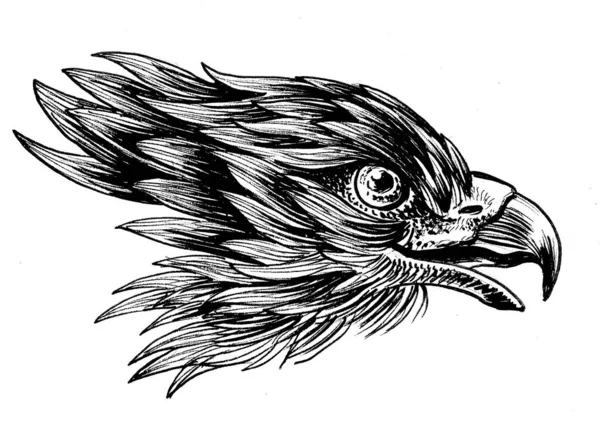 Cabeza Águila Dibujo Blanco Negro Tinta —  Fotos de Stock