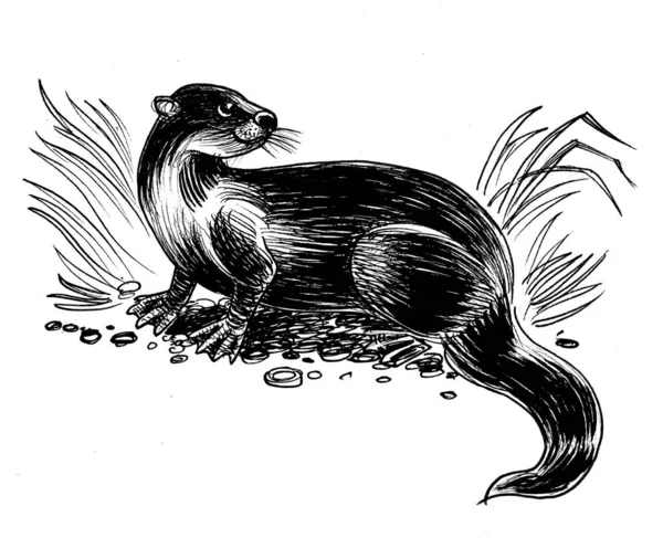 Otter Animal Ink Black White Drawing — Stock Photo, Image