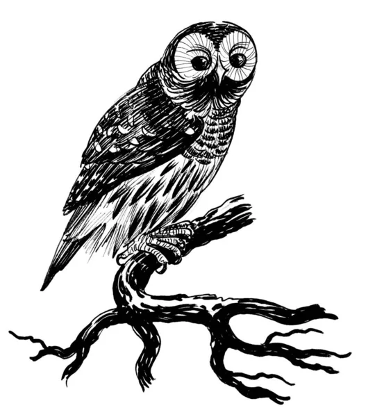 Soví Pták Větvi Stromu Černobílá Kresba Inkoustu — Stock fotografie