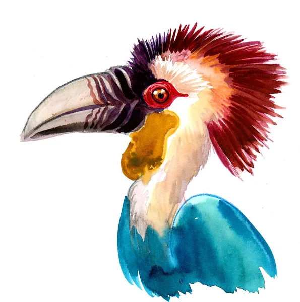 Tropikalna Głowa Ptaka Rysunek Atramentu Akwareli — Zdjęcie stockowe