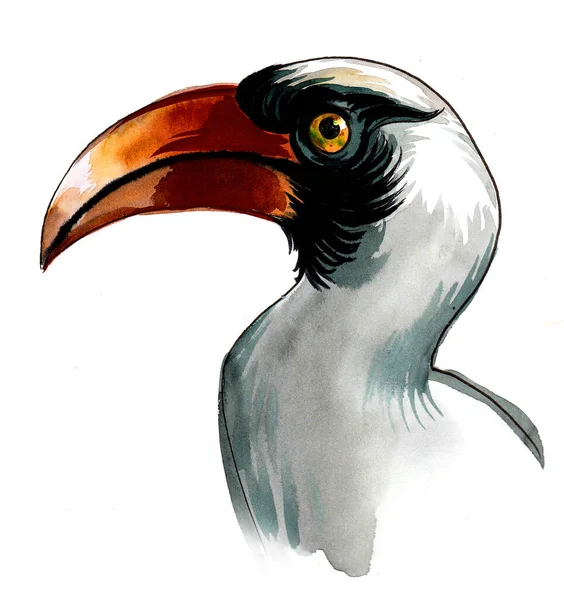 热带鸟头 墨水和水彩画 — 图库照片