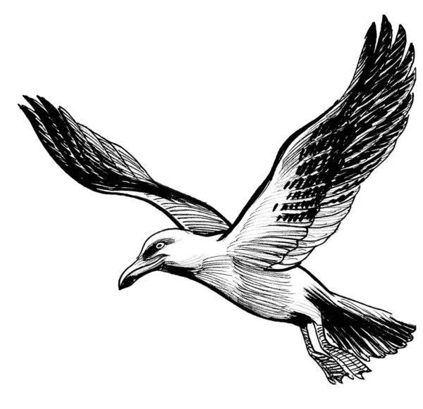 飞海鸥 墨水黑白画 — 图库照片