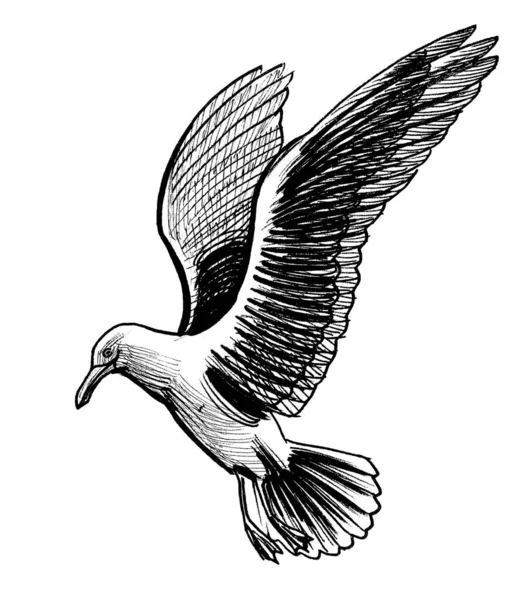 Fliegende Möwe Schwarz Weiße Tuschezeichnung — Stockfoto