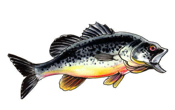 Peixe Com Boca Aberta Desenho Tinta Aquarela — Fotografia de Stock