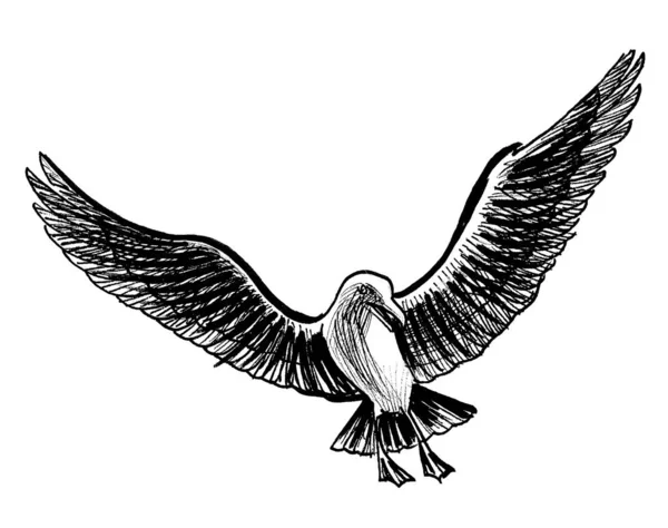 飞海鸥鸟 墨水黑白画 — 图库照片