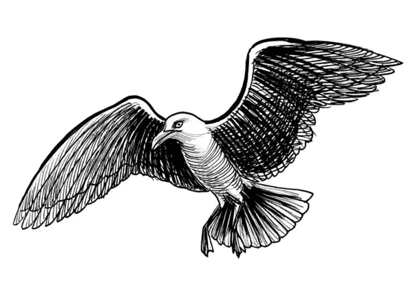 Latający Ptak Mewy Czarno Biały Rysunek Atramentu — Zdjęcie stockowe