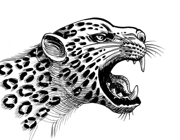 Jaguar Rugissant Encre Dessin Noir Blanc — Photo