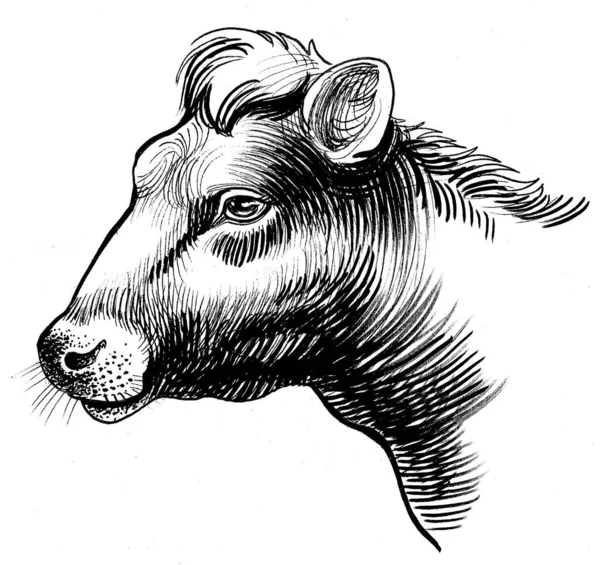 Tête Vache Encre Dessin Noir Blanc — Photo