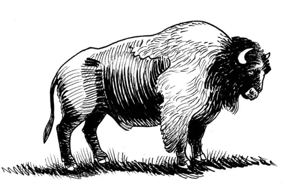 Standing Big Bison Ink Black White Drawing — Stock Photo, Image