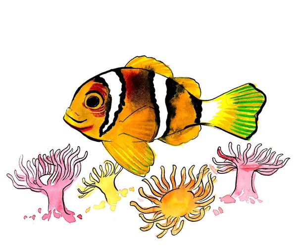 珊瑚礁鱼和珊瑚 墨水和水彩画 — 图库照片