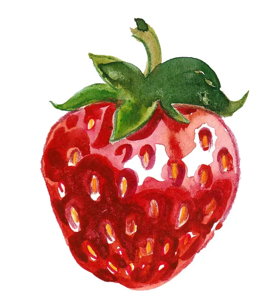 Truskawkowe Owoce Rysunek Atramentu Akwareli — Zdjęcie stockowe