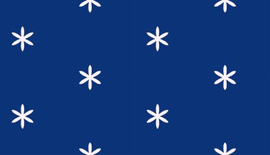 çiçekli mavi model