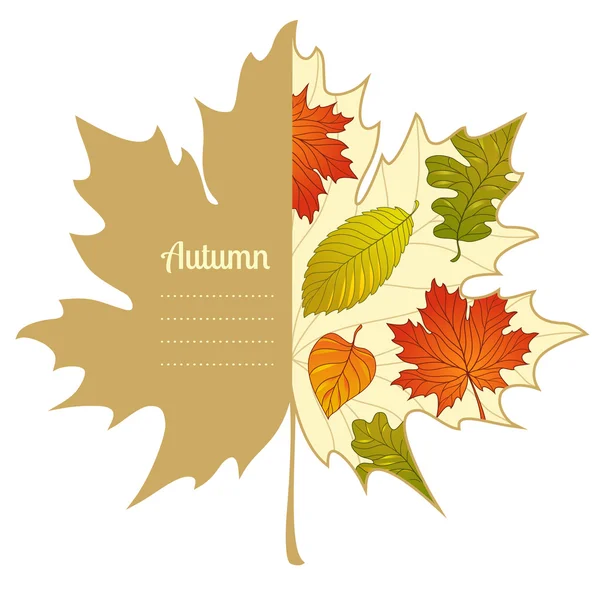 Vektor höstlig maple leaf bakgrund — Stock vektor