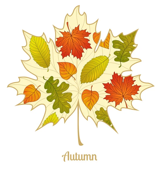 Vector herfst esdoorn blad achtergrond — Stockvector