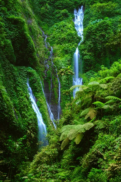 Madakaripura Wasserfall, Ostjava, Indonesien — Stockfoto