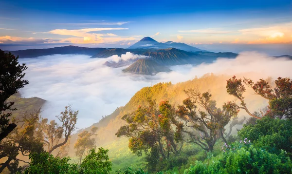 Vulcano Bromo all'alba, Parco nazionale Tengger Semeru, Giava orientale, Indonesia — Foto Stock