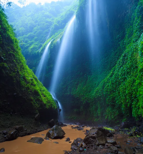 Cascada de Madakaripura, Java Oriental, Indonesia —  Fotos de Stock