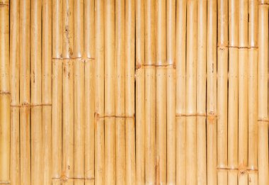 Bambu duvar arka plan