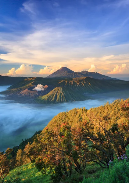 Vulcano Bromo all'alba, Parco nazionale Tengger Semeru, Giava orientale, Indonesia — Foto Stock