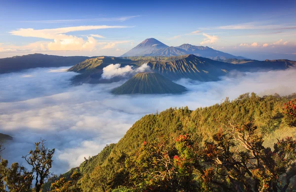 Bromo vulkán napkeltekor, Tengger Semeru Nemzeti Park, Kelet-Jáva, Indonézia — Stock Fotó