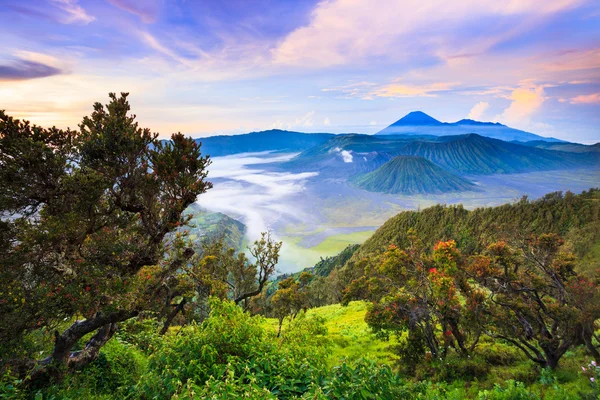 Bromo volcano at sunrise,Tengger Semeru National Park, East Java, Indonesia — Stock Photo, Image