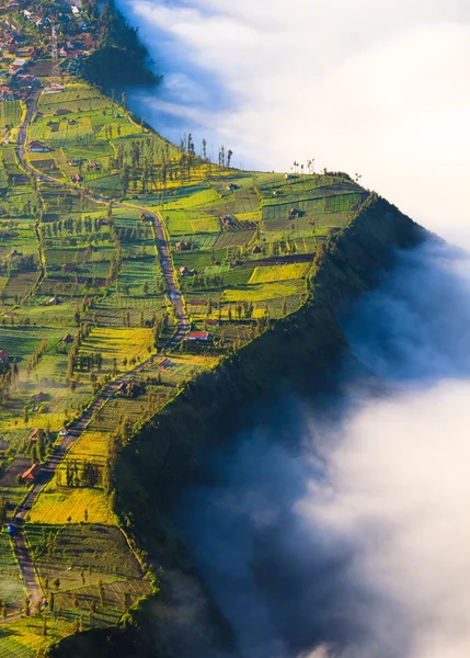 Village near cliff at Bromo Volcano in Tengger Semeru, Java, Indo — Stock Photo, Image