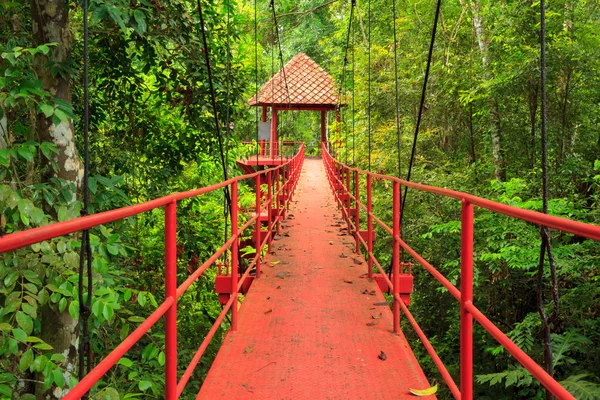 Ponte para a selva, Trang, Tailândia — Fotografia de Stock