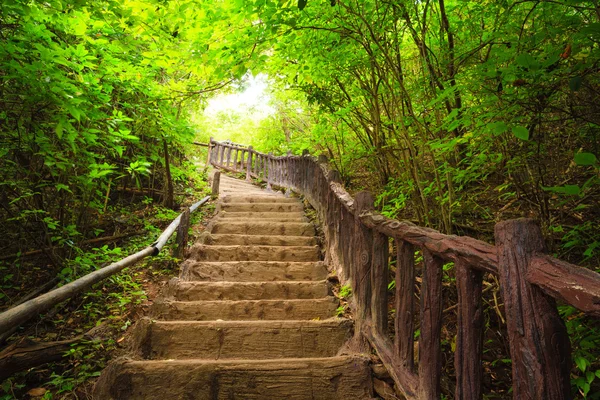 Escalera hacia el bosque, Parque Nacional Erawan, Kanchanburi, Tailandia — Foto de Stock