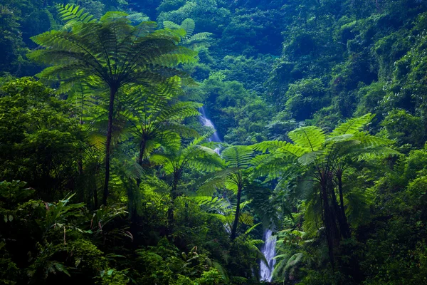 Madakaripura Waterfall, East Java, Indonesia
