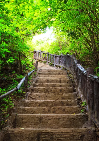 Escadaria para a floresta, parque nacional de Erawan, Kanchanburi, oeste da Tailândia — Fotografia de Stock