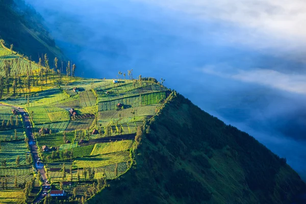 마을과 tengger semeru, 자바, 인도에서 브로 모 화산에서 절벽 — 스톡 사진