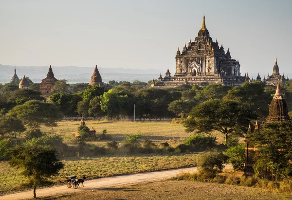 Der Pferdewagen in der Ebene von Bagan bei Sonnenuntergang, Bagan, Myanmar — Stockfoto