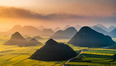 Baharda sarı kolza tohumu (kanola) çiçek tarlası, Luoping, Çin