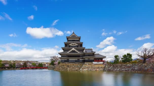 Timelapse Château Matsumoto Printemps Nagano Japon — Video