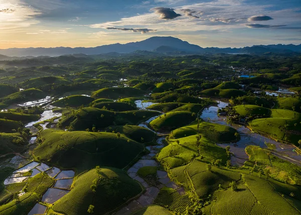 Aerial View Beatiful Sunset Long Coc Tea Hill Phu Tho — 스톡 사진