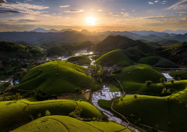 Aerial View Beatiful Sunset Long Coc Tea Hill Phu Tho — Stock fotografie