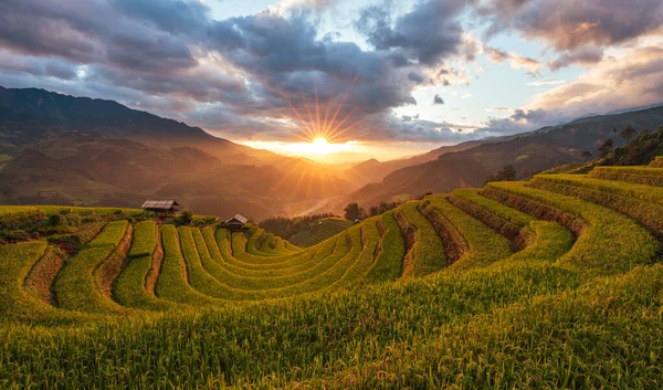 Západ Slunce Nad Terasovými Rýžovými Poli Cang Chai Jen Bai — Stock fotografie