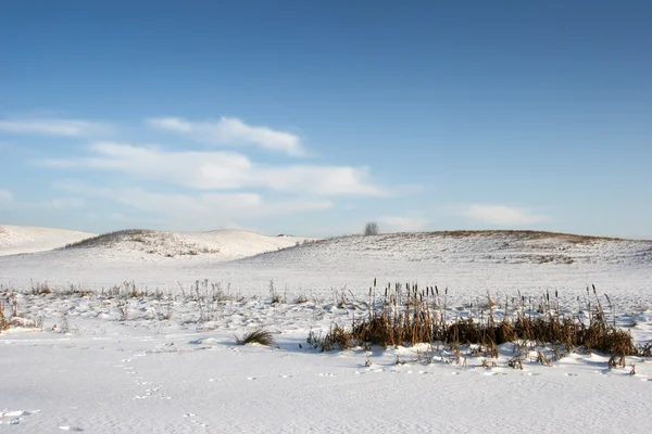 Снежные холмы зимой — стоковое фото