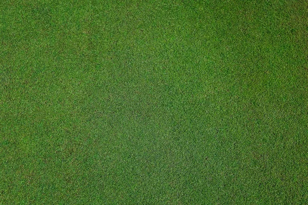 Grama natural em um campo de golfe fundo — Fotografia de Stock