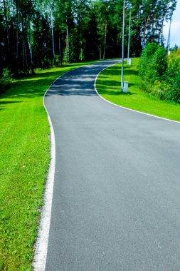 Ormanın arka planına karşı çimlerin arasındaki patika.