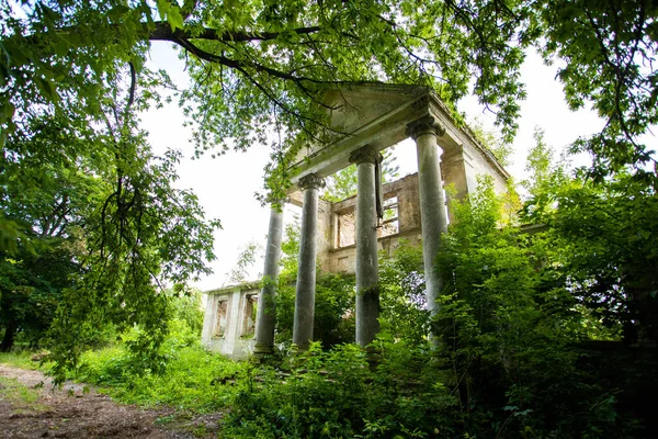 Ancien bâtiment en ruine avec des colonnes entourées d'arbres verts — Photo