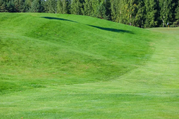 Grama verde em um campo de golfe em um fundo da floresta — Fotografia de Stock