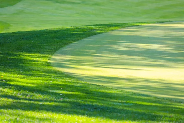 Groen gras. Achtergrond. Golfbaan, schaduwen van bomen op het gras. — Stockfoto