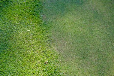 Yakın plan. Golf sahasındaki çimenler yeşil, parkurun yüzeyindeki gölgeler...