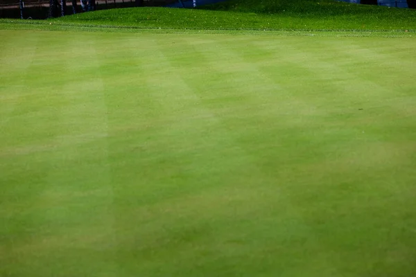 Hierba verde. Antecedentes Campo de golf, sombras de árboles en la hierba. —  Fotos de Stock