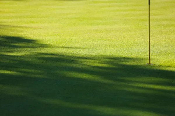 Golfbaan, schaduwen van bomen op het gras. Groen gras. Achtergrond. — Stockfoto