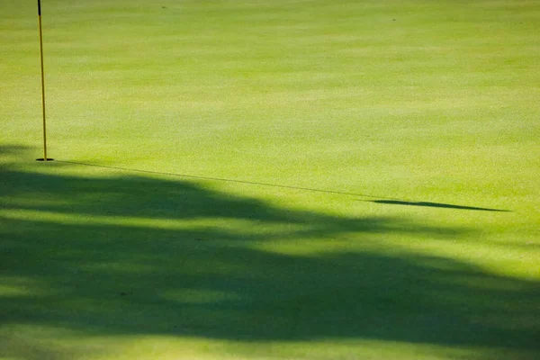 Golfbana, skuggor från träd på gräset. Grönt gräs. Bakgrund. — Stockfoto