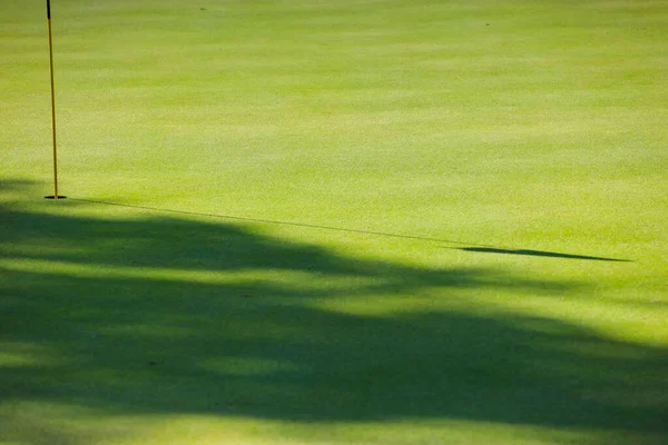 Campo de golfe, sombras de árvores na relva. Grama verde. Contexto. — Fotografia de Stock