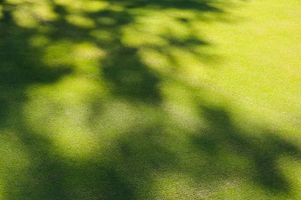 Campo de golf, sombras de árboles en la hierba. Hierba verde. Contexto. — Foto de Stock